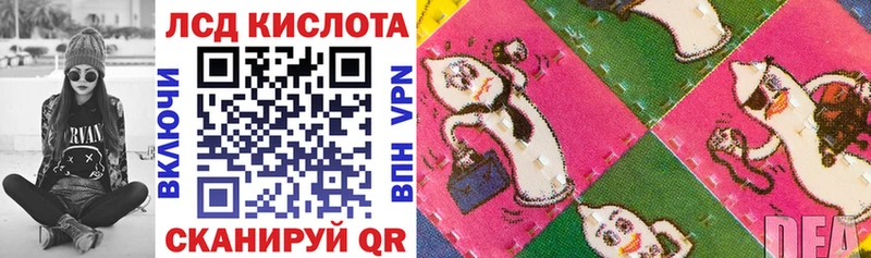 купить наркотики цена  mega как зайти  Марки N-bome 1,8мг  Малоархангельск 